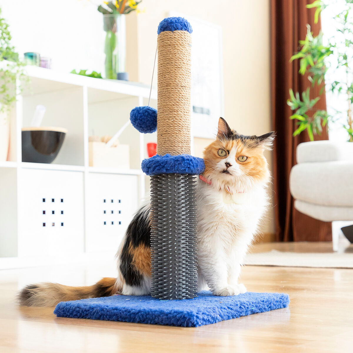 Poste rascador y de masaje para gatos con pelota